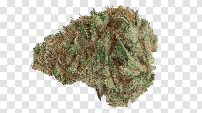Cannabis Kush Universal Herbs Bud Nugg: Medical Marijuana Delivery Transparent PNG