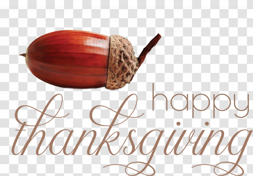 Happy Thanksgiving Thanksgiving Day Thanksgiving Transparent PNG