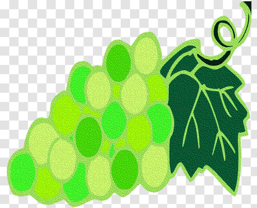 Grape Green Leaf Clip Art - Plant Stem Transparent PNG
