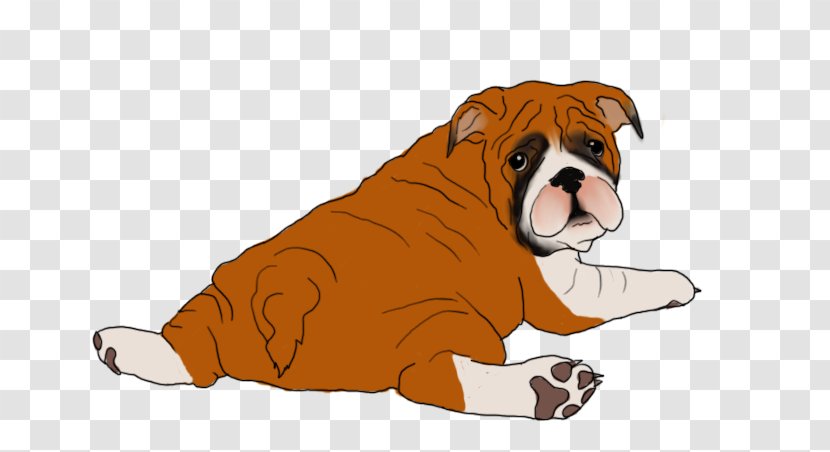 Bulldog Puppy Dog Breed Companion Non-sporting Group - Lily Of Valley Transparent PNG