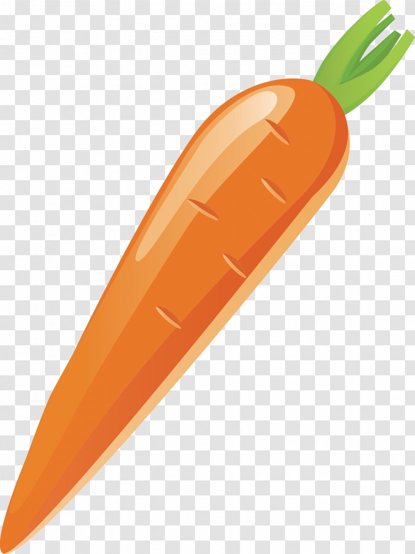Carrot Vegetable - Green - Vector Transparent PNG