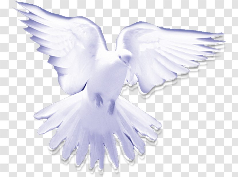 Christian Clip Art Holy Spirit In Christianity Pigeons And Doves - Seven Gifts Of The Transparent PNG
