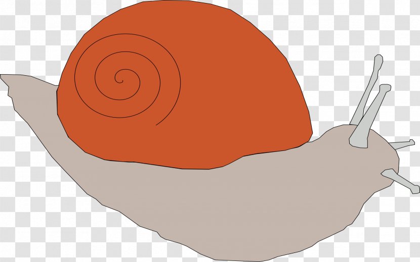 Snail Clip Art - Fruit - Snails Transparent PNG