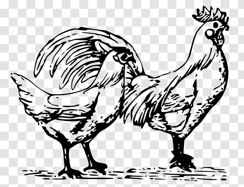 Chicken Rooster Poultry Farming Clip Art Transparent PNG