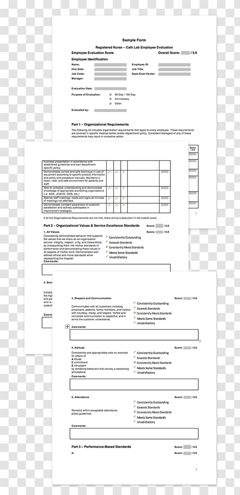 Template Document Evaluation Information - Psychological - Licensed Practical Nurse Transparent PNG