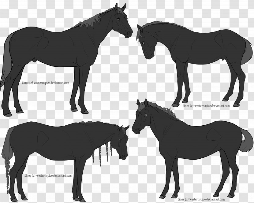 Mule Foal Mustang Stallion Mare - Pack Animal Transparent PNG