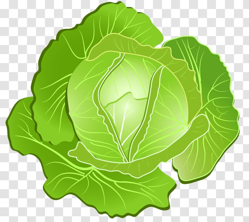 Clip Art Vegetable Image Vector Graphics Drawing - Collard Greens Transparent PNG
