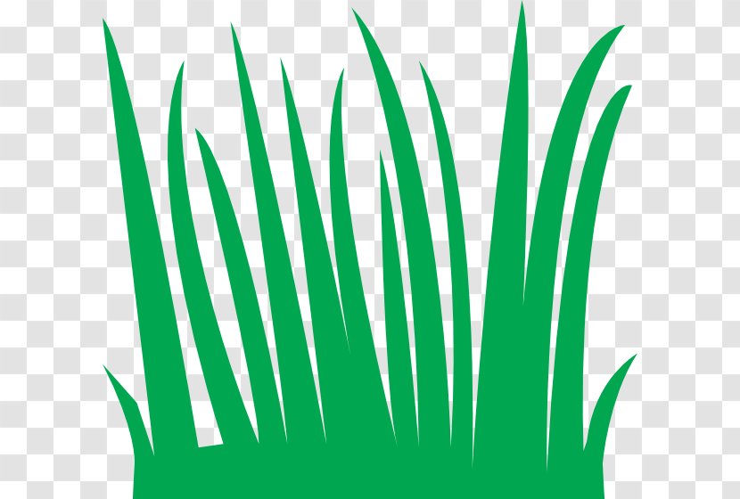 Cartoon Free Content Clip Art - Plant - Grass Clipart Transparent PNG