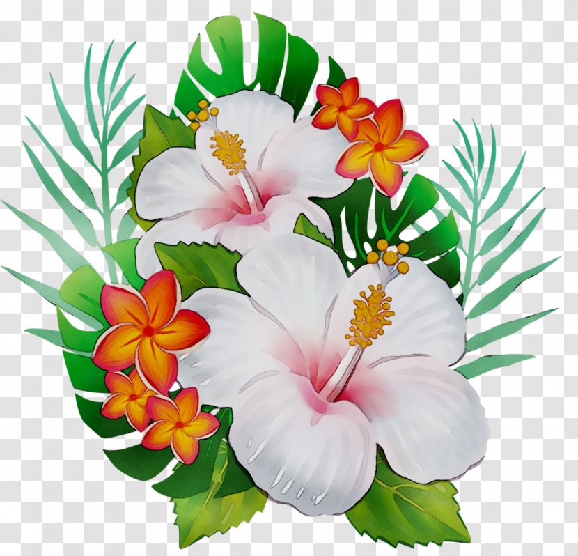 Rosemallows Floral Design Cut Flowers Annual Plant Herbaceous - Wildflower - Bouquet Transparent PNG