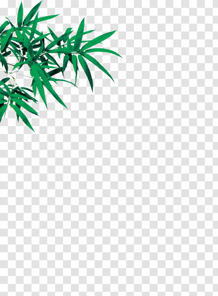 Bamboo Leaf Euclidean Vector - Tree - Leaves Transparent PNG