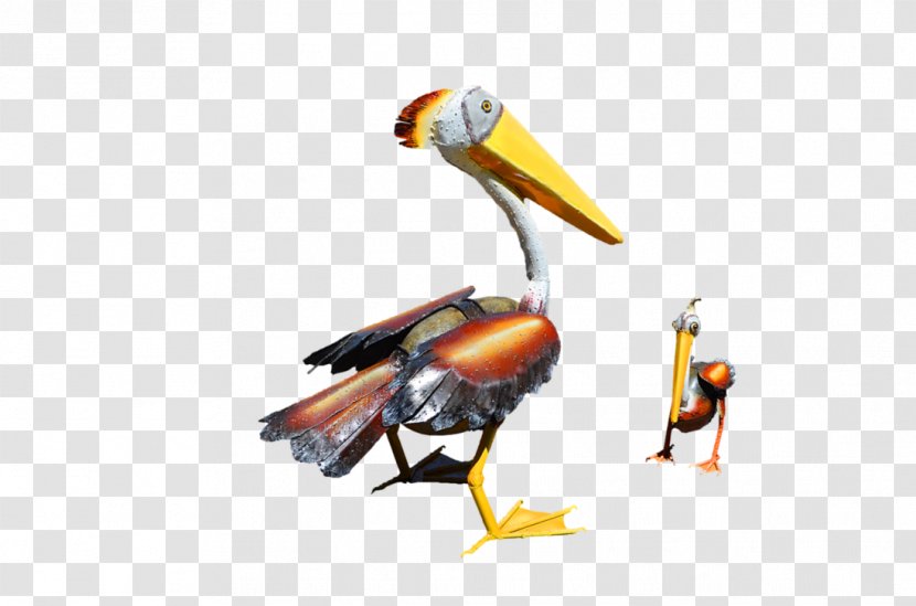 Beak Toucan Insect - Organism Transparent PNG