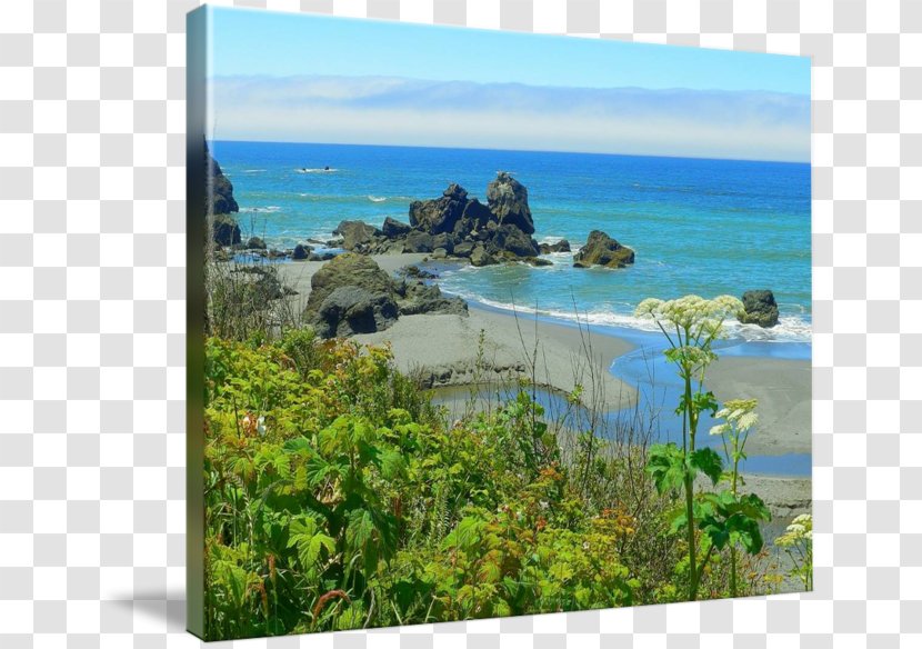 Nature Reserve Gallery Wrap Canvas Art Photography - Coast Transparent PNG