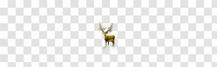Insect Wing Wallpaper - Brand - Horned Cartoon Deer Transparent PNG