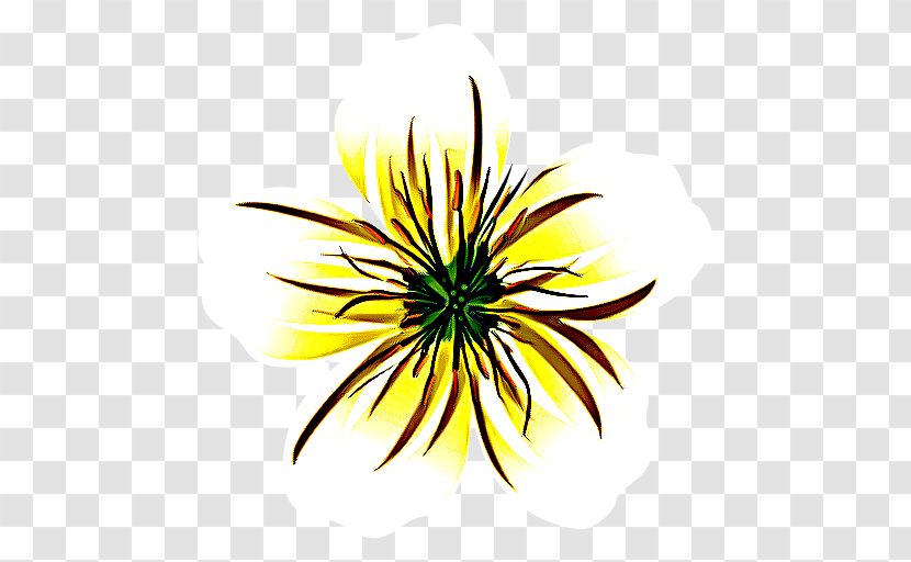 Sunflower - Yellow - Petal Transparent PNG