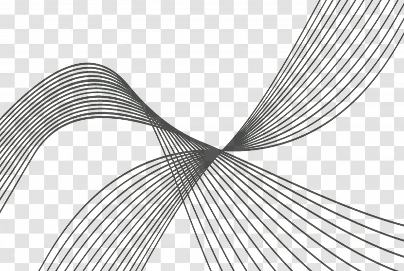 Line Curve Plot - Black And White - Dynamic Lines Transparent PNG
