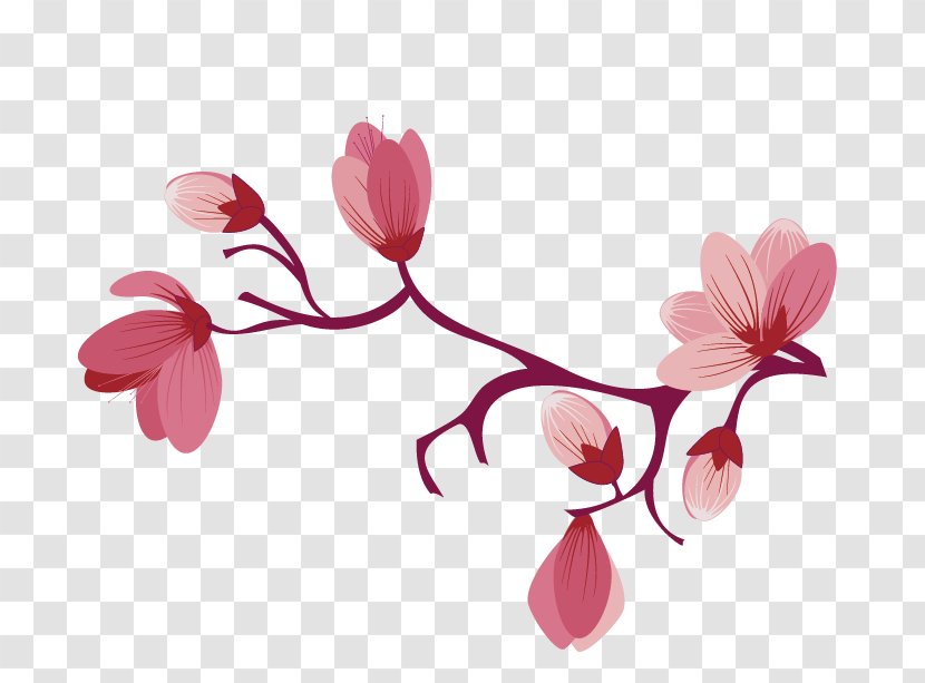 Cherry Blossom Flower Clip Art Sakura Transparent Png