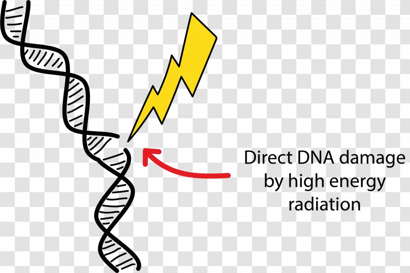DNA Damage Radiation Therapy Cell - Shoe - Energy Transparent PNG