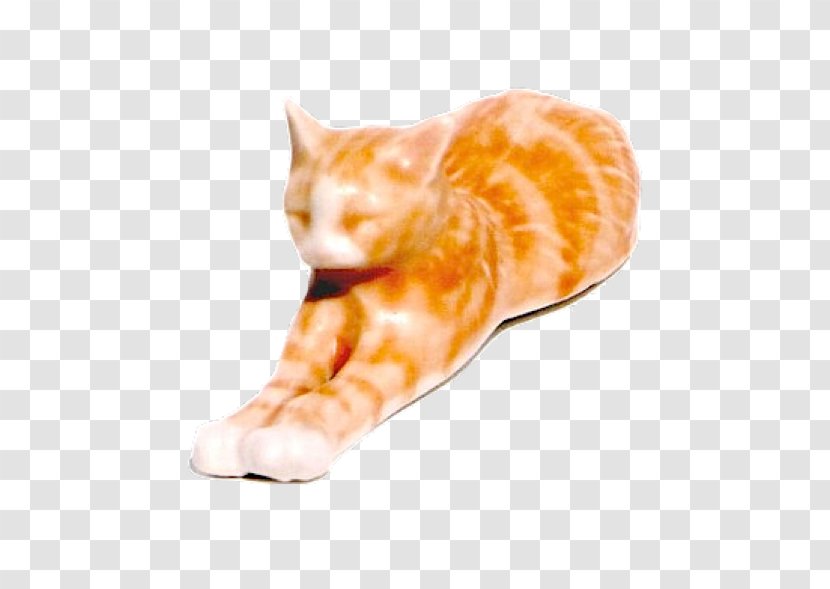 Cat Tonk Whiskers Animal Brandy - Pancake - Stretching Transparent PNG