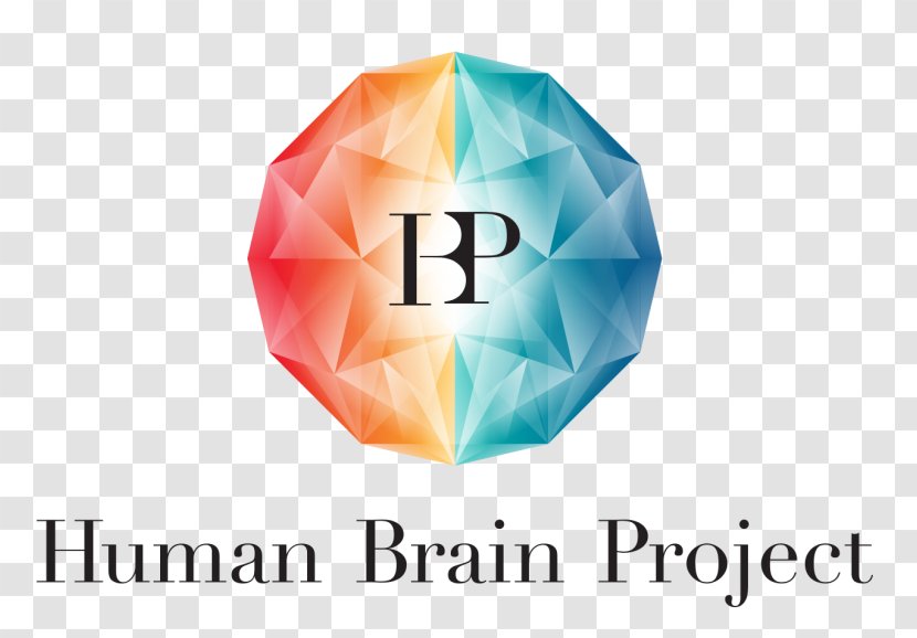 Human Brain Project Research Neuroscience - Morphometry Transparent PNG