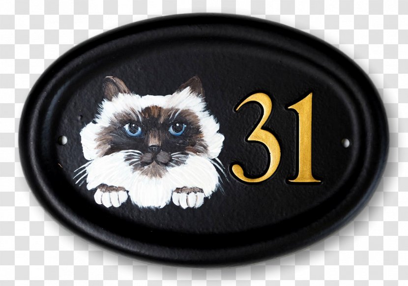 Kitten Whiskers Siamese Cat House Tabby - Flat Shop Transparent PNG