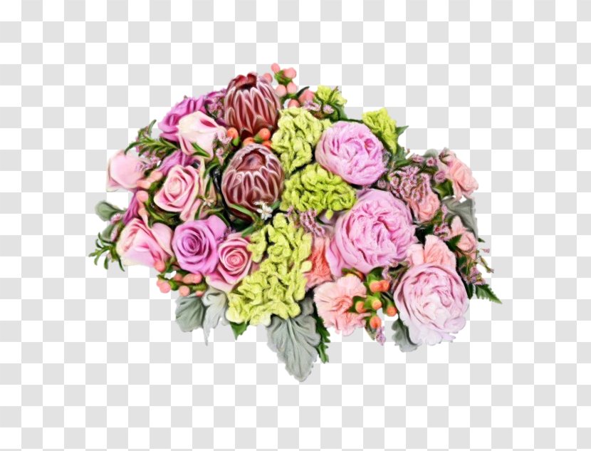 Garden Roses - Pink - Rose Family Transparent PNG