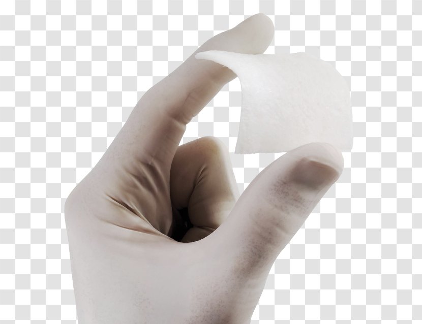 Bone Collagen Tissue Millimeter Medium - Arm - By Transparent PNG