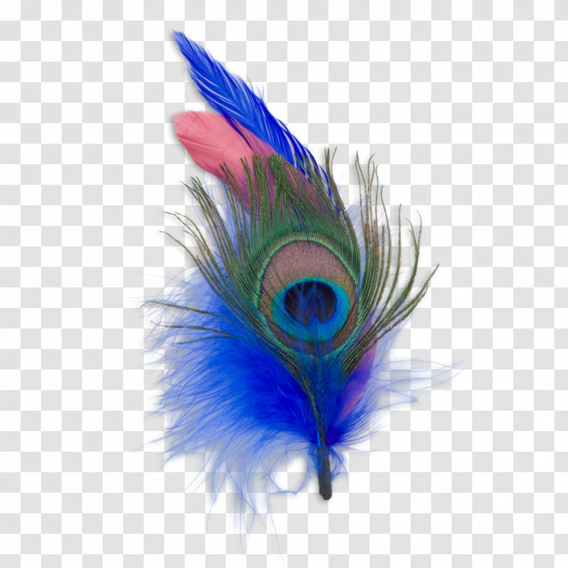 Cobalt Blue Feather Close-up Transparent PNG