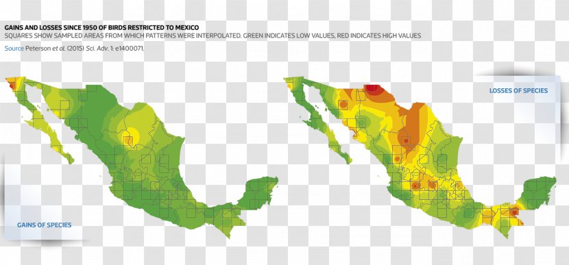 Mexican General Election, 2018 National Autonomous University Of Mexico United States Stock Photography - Area - Climate Change Transparent PNG
