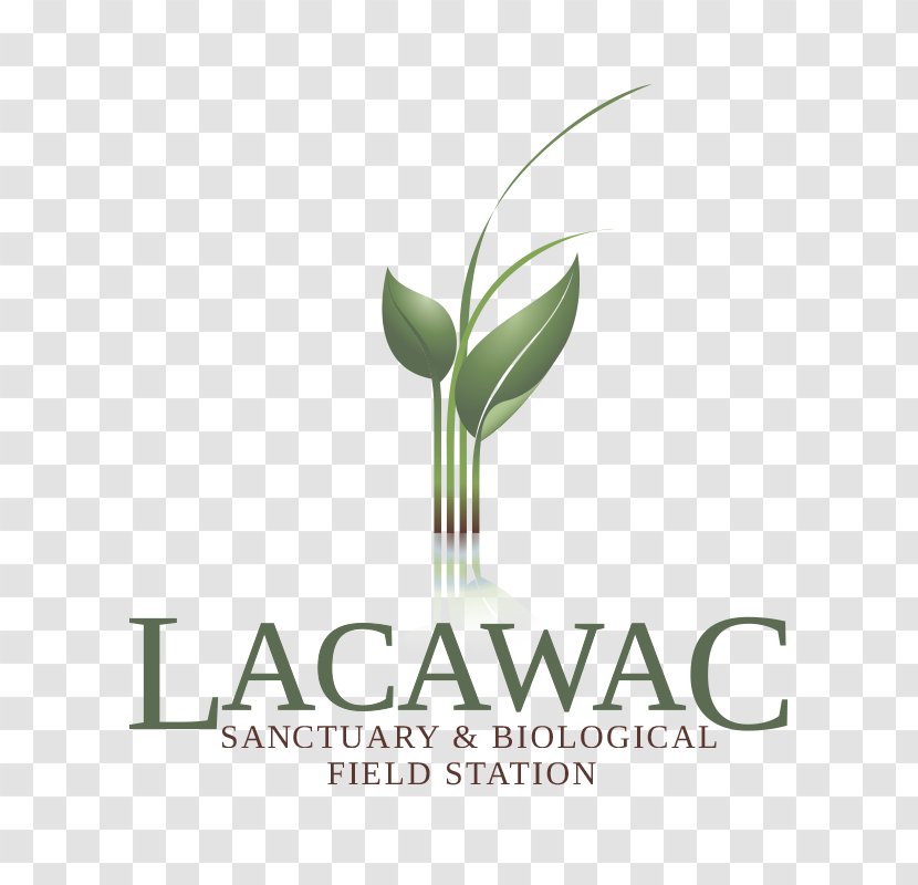 Lacawac Sanctuary Non-profit Organisation Hawley Management Organization - Nonprofit - Robin Hood Ventures Transparent PNG