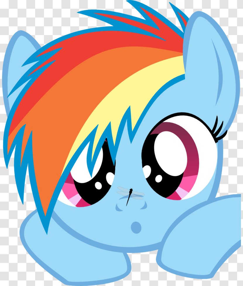 Rainbow Dash My Little Pony Fluttershy - Flower Transparent PNG