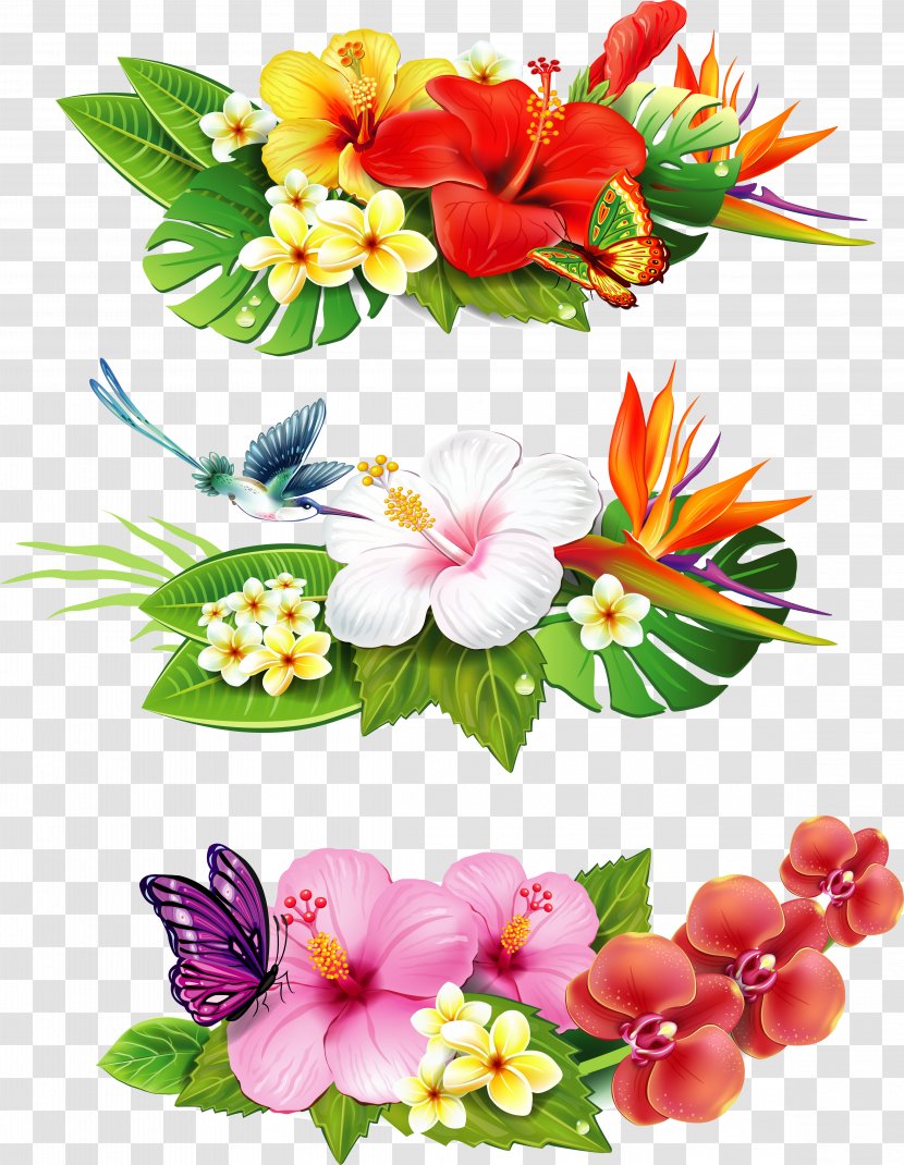 Flower Drawing Royalty-free Clip Art - Tropical Transparent PNG