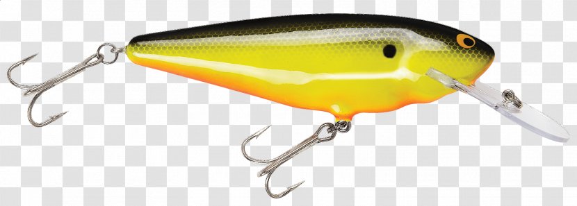 Spoon Lure Perch AC Power Plugs And Sockets - Fishing - Bass Fish Transparent PNG