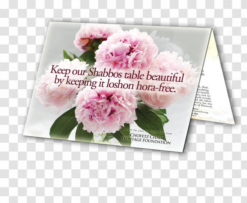 Rose Floral Design Cut Flowers Carnation - Greeting Transparent PNG