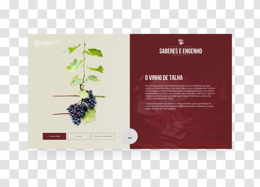 Advertising Brand Brochure - Alambique Transparent PNG