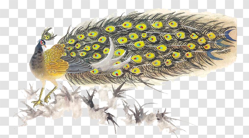 Bird Peafowl - Tail - Peacock Transparent PNG