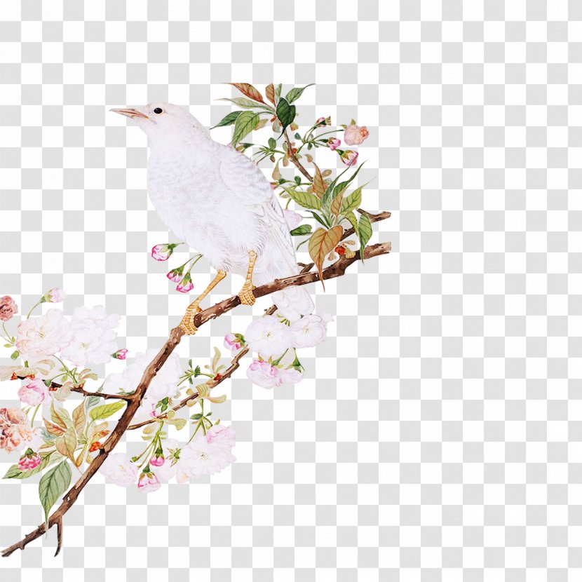 Bird-and-flower Painting - Retro Hand-painted Cherry Trees Do Not Pick Material Transparent PNG