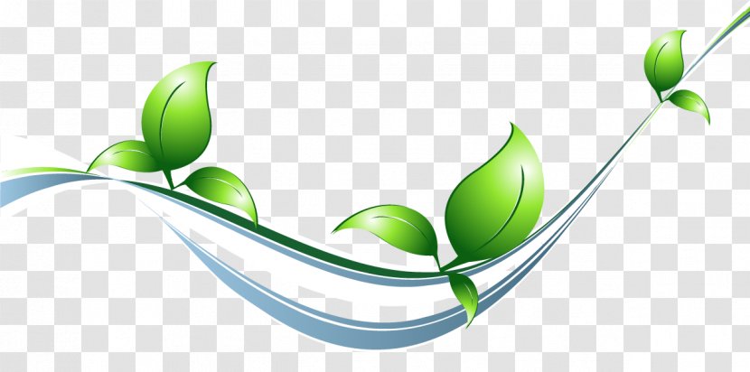 Ecodesign Leaf - Computer - Green Transparent PNG