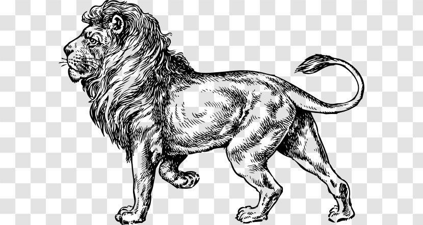 Lionhead Rabbit Tattoo Artist Clip Art - Carnivoran - Lion Of Judah Transparent PNG