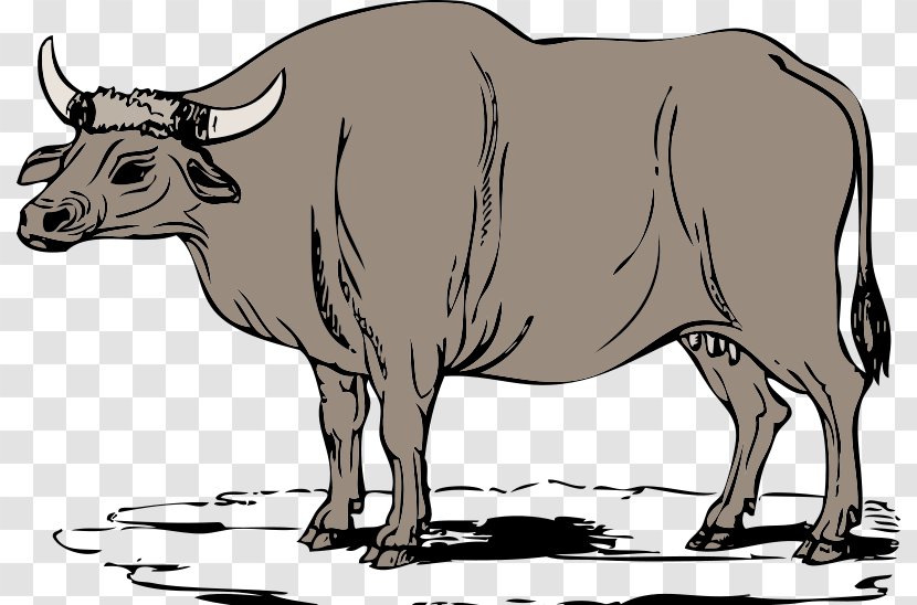 Ox Cattle Website Clip Art - Fauna - Christmas Cliparts Oxen Transparent PNG