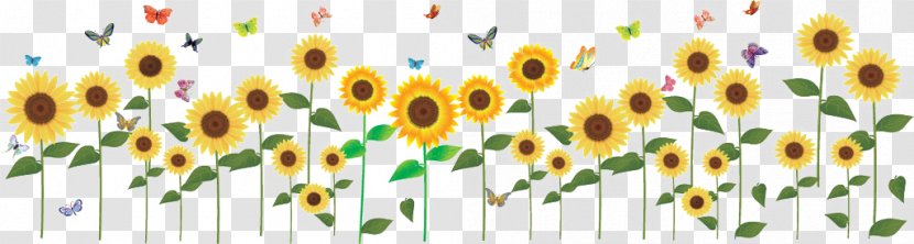 Sticker Common Sunflower - Flower - Wall Stickers Transparent PNG