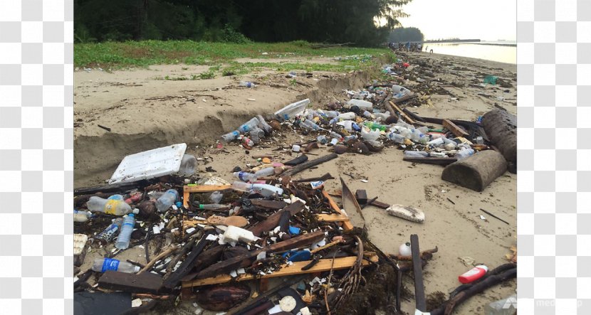 Waste Tanah Merah Beach Plastic Bag Cleaning - Garbage Transparent PNG