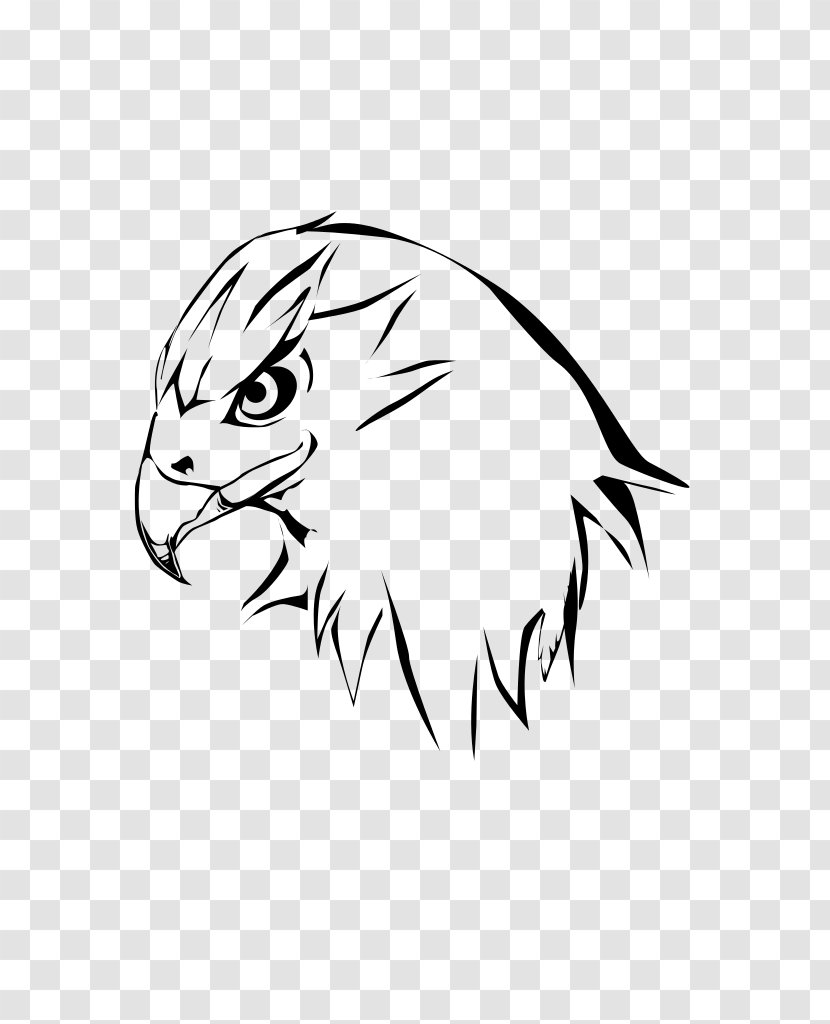 Drawing Line Art Cartoon Clip - Black And White - Hawk Clipart Transparent PNG