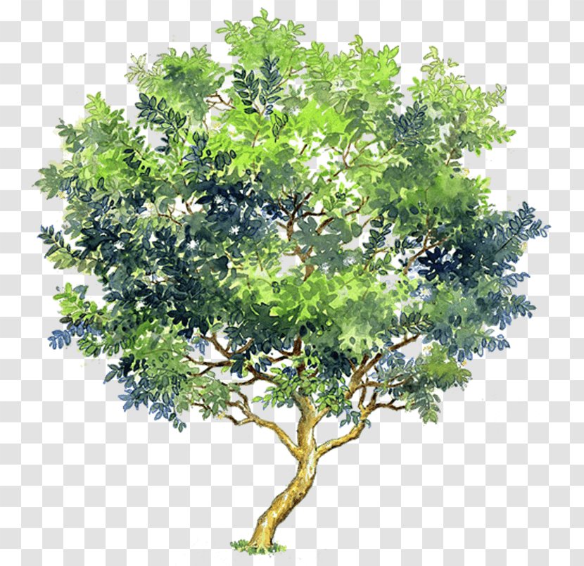 Watercolor Painting Tree Image Clip Art - Colorful Trees Transparent PNG