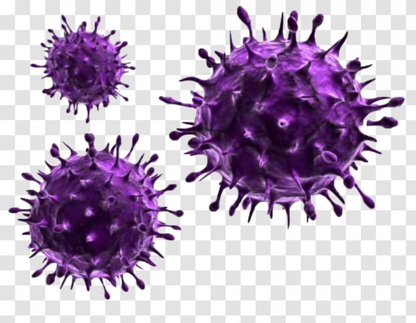 Influenza A Virus Infection Pathogen - Swine - Violet Transparent PNG