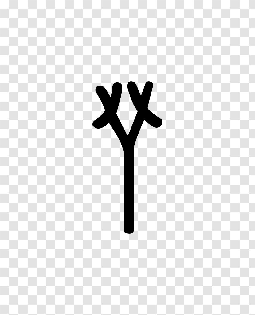 Tree Line - Symbol - Syllable Transparent PNG