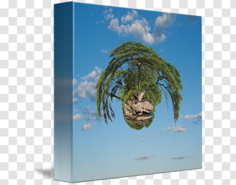 /m/02j71 Earth Tree Stock Photography - Text Messaging - Float Island Transparent PNG