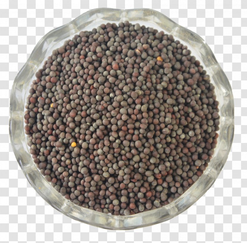 Sevruga Caviar Spice Mustard Seed Brassica Nigra Transparent PNG