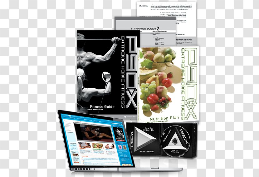 P90X Physical Fitness Exercise Beachbody LLC Step Aerobics - Media - Program Transparent PNG