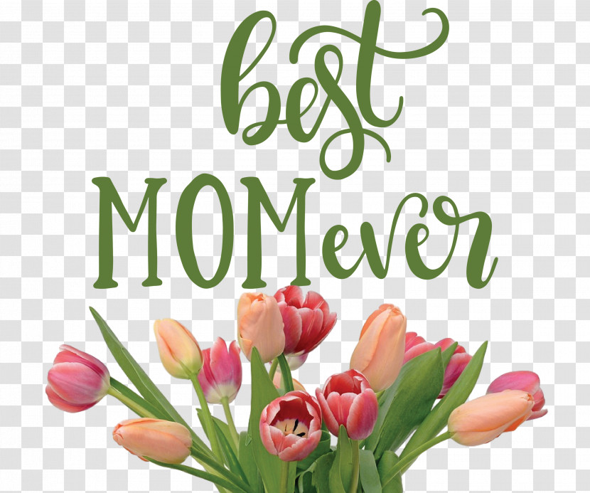 Mothers Day Best Mom Ever Mothers Day Quote Transparent PNG