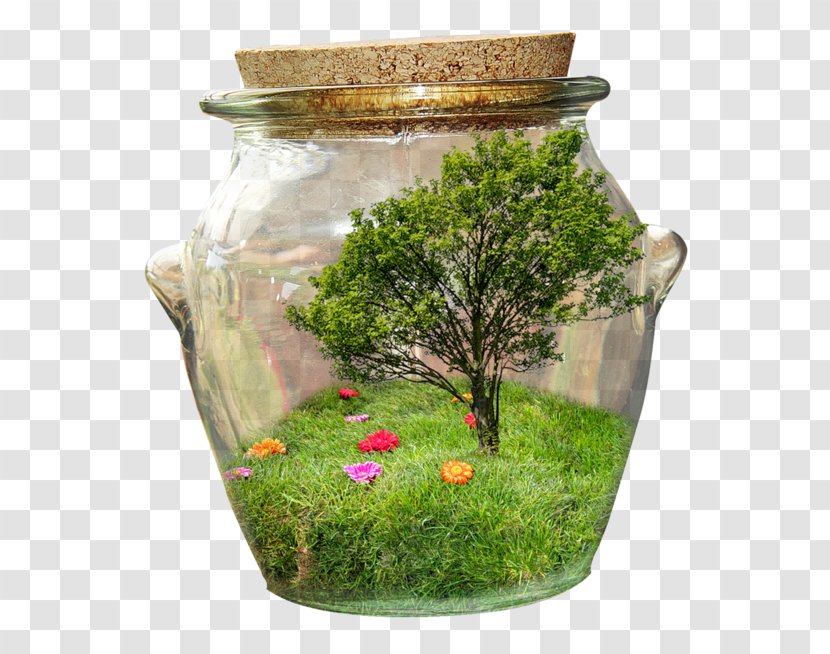 Bottle Jar Clip Art Image Transparent PNG